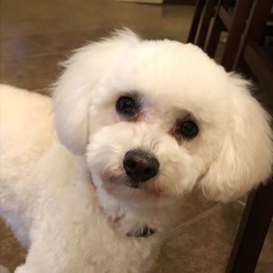 Meet your Posher, Diane